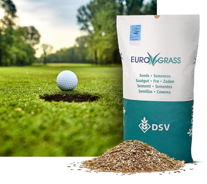 Fairway-Turf eftersåning, 10 kg