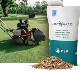 Rødsvingel-Turf, 10 kg