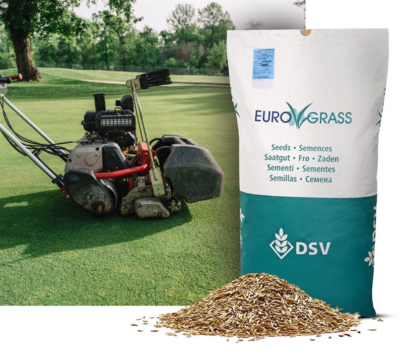 Rødsvingel-Turf, 10 kg