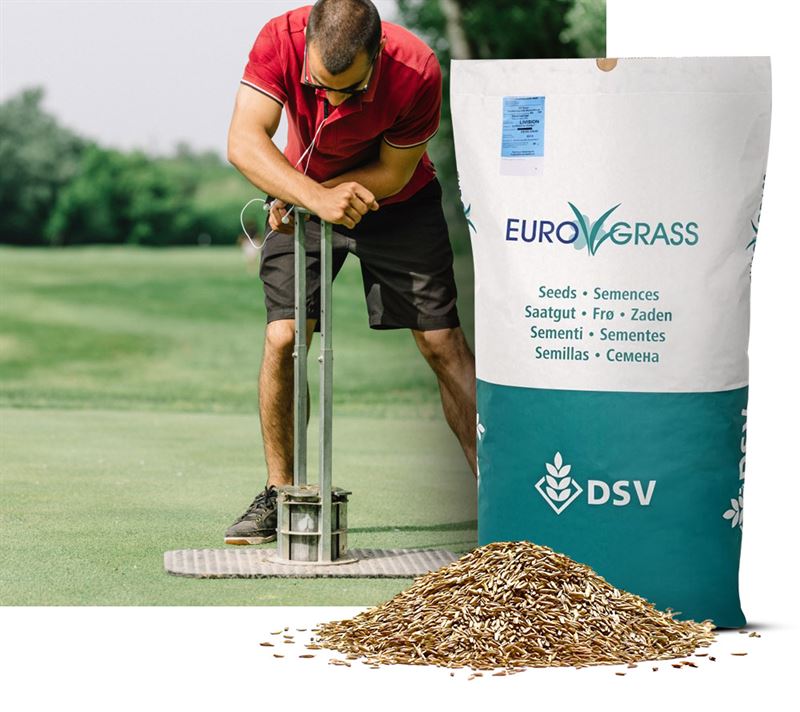 Tee-Turf eftersåning, 10 kg